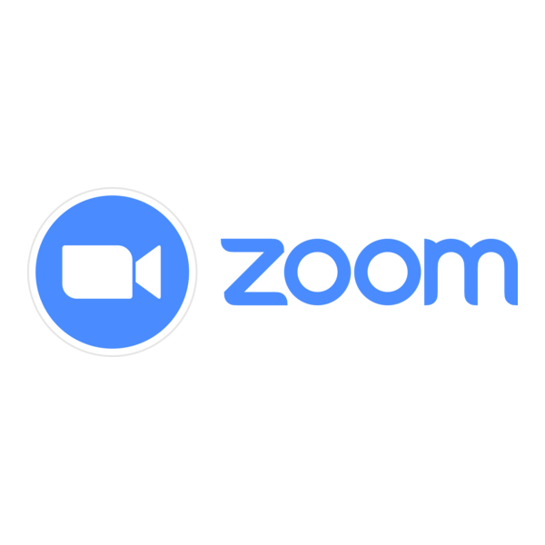 Zoom Pro 2 aylıq